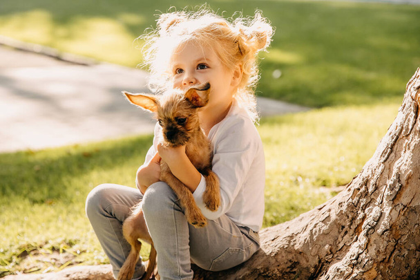 close-up portrait of adorable little girl with puppy having fun in park - Фото, изображение
