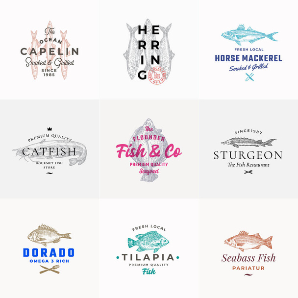 Premium Quality Seafood Vector merkkejä tai Logo Mallit Set. Käsin piirretyt kalapiirrokset typografialla, villakuorella, monni, sampi, Tilapia, silli jne. Tunnukset nippu. - Vektori, kuva
