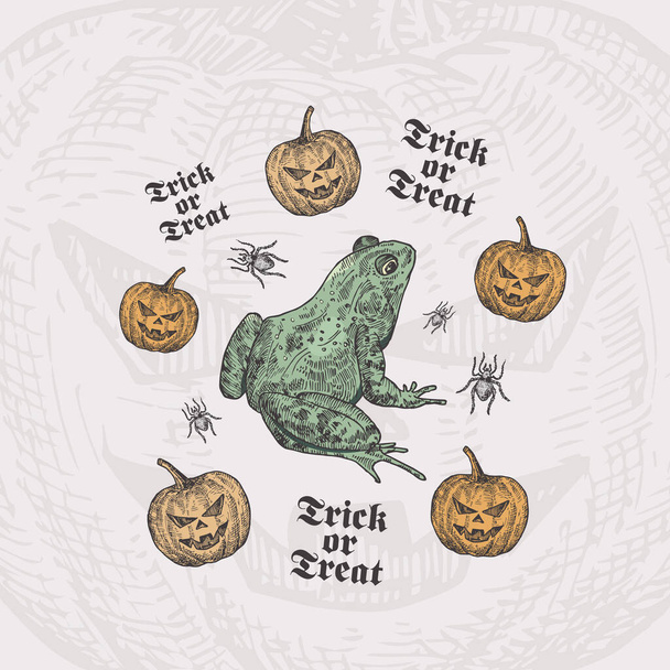 Trick or Treat Halloween Vector Background or Card Template. Hand Drawn Toad or Frog and Pumpkins with Spider Sketch and Vintage Typography. Holiday Decorative Composition. - Vektor, kép