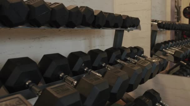 Rijen van niet-inklapbare zwarte metalen halters op een rek in een fitnessruimte voor krachttraining en training - Video