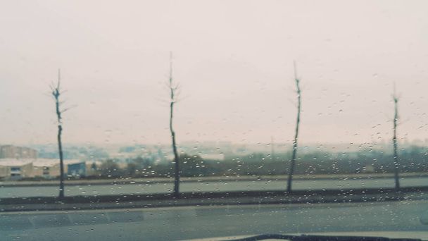 Baumsilhouette bei Regenwetter durch Glas sichtbar - Foto, Bild