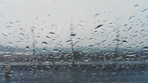 雨の日にガラス越しに見える木のシルエット - 写真・画像