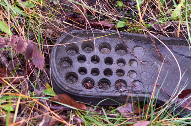 Sola de sapato velho na grama de perto - Foto, Imagem
