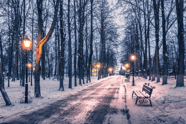 雪に覆われたランタン、ベンチ、木で夜の冬の公園。風景. - 写真・画像