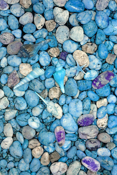 Pop Art Style Aqua Blue barevné oblázkové kameny s mnoha drobné Seashells - Fotografie, Obrázek