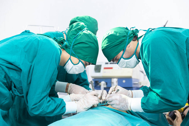 Lekarze leczą pacjentów na salach operacyjnych. Zespół chirurgów pracuje na sali operacyjnej. Chirurg ratuje życie pacjenta.. - Zdjęcie, obraz