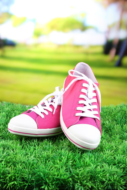Beautiful gumshoes on green grass, on bright background - Foto, immagini