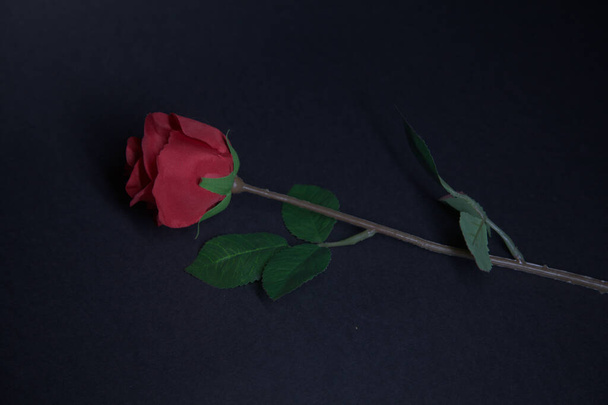 黒い背景に偽の赤いバラ - 写真・画像