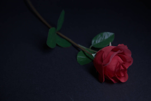 Uma rosa vermelha falsa em um fundo preto - Foto, Imagem