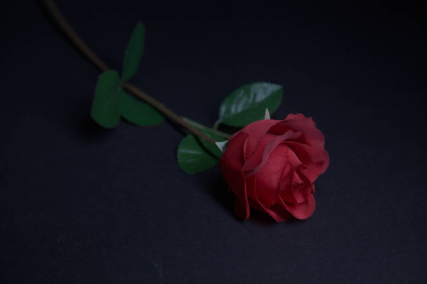 Sztuczna czerwona róża na czarnym tle - Zdjęcie, obraz