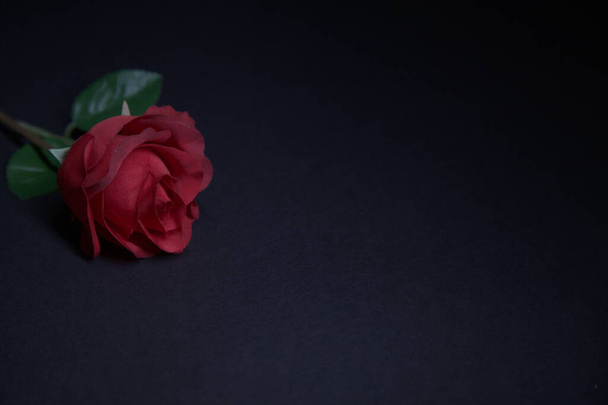 Підроблена червона троянда на чорному тлі
 - Фото, зображення