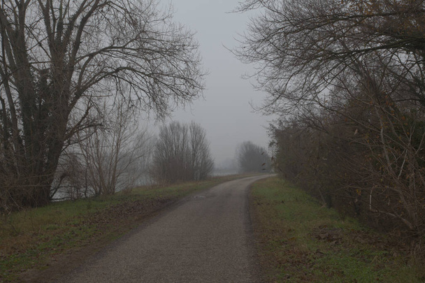 Pojedynczy pas ruchu na włoskiej wsi w mglisty dzień późną jesienią - Zdjęcie, obraz