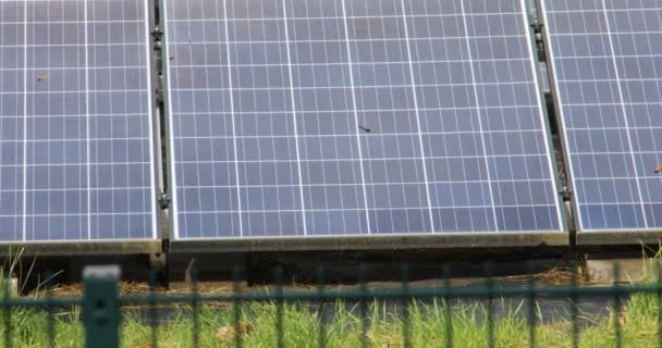 Alternatif enerjili elektrik üretimi için güneş pilleri alanı olan çayır - Video, Çekim
