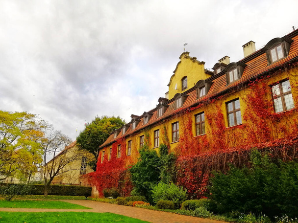 A wonderful shot of a castle in  autumn Park Oliwski, Gdansk, Poland - Valokuva, kuva