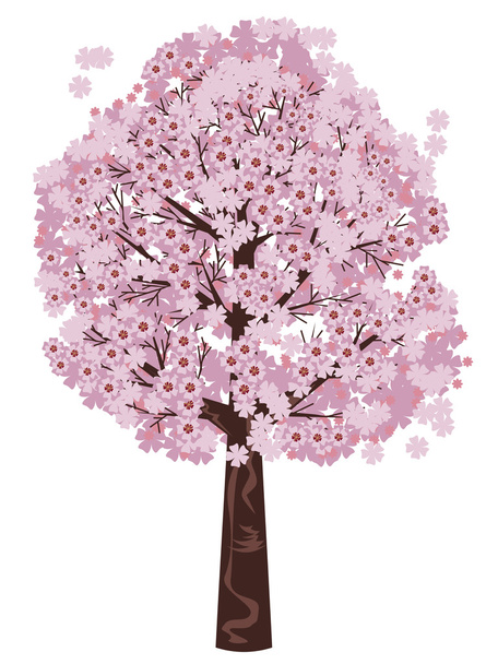 Árbol de sakura en flor
 - Vector, imagen