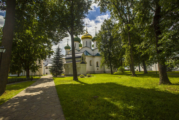 A grassy lawn at the Saviour Monastery of St. Euthymius with tall trees - Fotografie, Obrázek