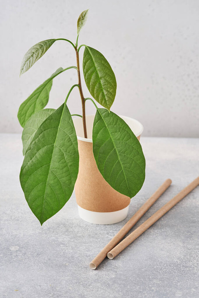 Drinking tubes made of paper and cornstarch, biodegradable material and eco paper glasses with green sprout leaves on grey background. Zero waste and plastic free concept. Top view. - Photo, image