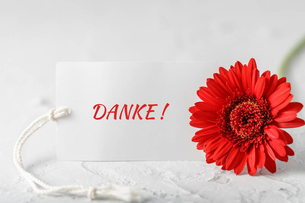 German Danke english Thanks  greeting card with red gerbera daisy on white stone background - Photo, Image