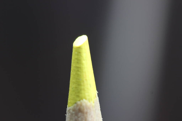 close-up van geslepen potlood.Macro weergave van de punt van het potlood op een zwarte achtergrond. - Foto, afbeelding