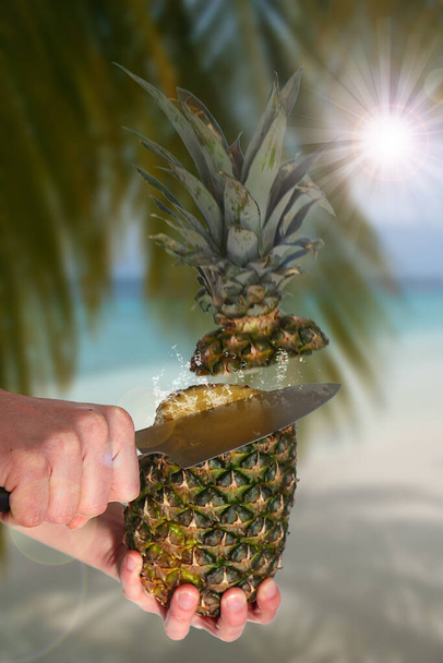A vertical shot of someone's hands slicing a pineapple - Fotoğraf, Görsel