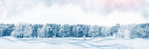 Frozen winter forest with snow covered trees. outdoor - Photo, Image