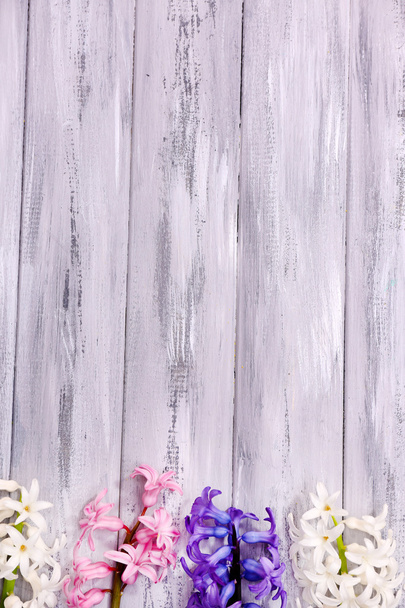 Belas jacintos na cor de fundo de madeira
 - Foto, Imagem