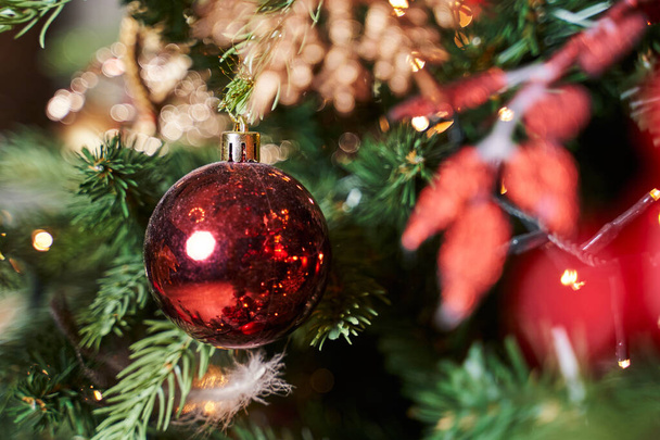beautiful red ball on christmas tree with beautiful bokeh                                        - Valokuva, kuva