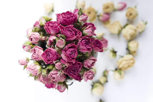 Ξηρά τριαντάφυλλα κορυφή και διάσπαρτα μπουμπούκια - Φωτογραφία, εικόνα