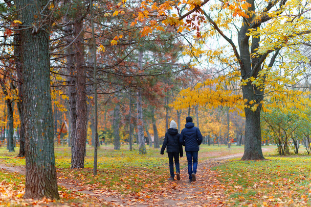 teen girl and boy walking through the park and enjoys autumn, beautiful nature with yellow leaves - Foto, Bild