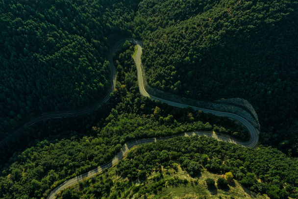 Vidéki út "M" alakban Egy fenyőerdő közepén. - Fotó, kép