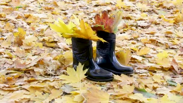 落ちた葉の上に立っている女性のブーツの下のビュー。秋の公園をコンセプトに - 映像、動画