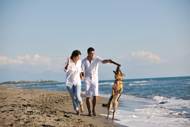 Happy family playing with dog on beach - Photo, image