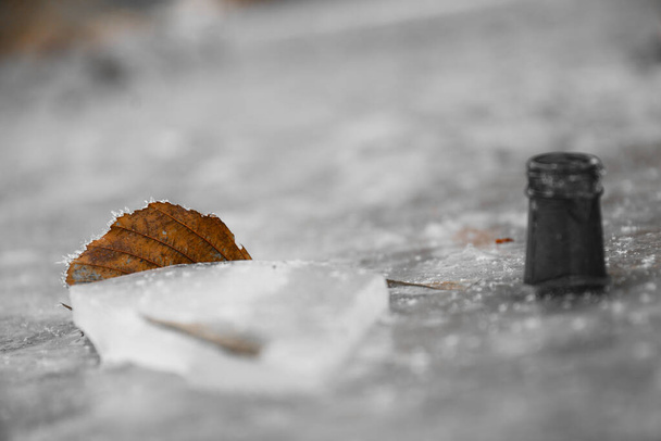 Foglia marrone congelata nel ghiaccio - foglia marrone sporgente - Foto, immagini