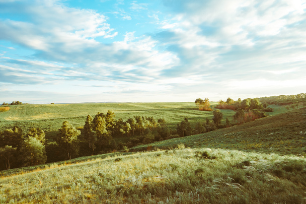 Green Grass Field Landschaft mit fantastischen Wolken im Hintergrund - Foto, Bild