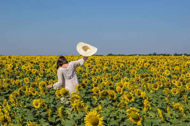 Dívka s kloboukem jde na pole slunečnic v poledne v létě - Fotografie, Obrázek