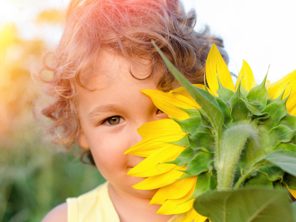 pieni poika keltainen auringonkukka lähikuva - Valokuva, kuva