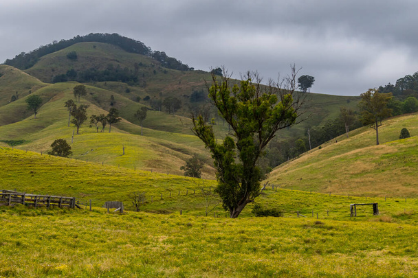 Hilly countryside near Lostock in the Upper Hunter Region of NSW, Australia. - Fotoğraf, Görsel
