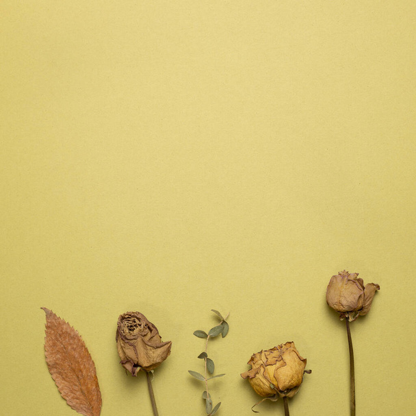 Fleurs roses brunes sèches avec des feuilles sur fond kaki. plan, vue du dessus, espace de copie - Photo, image