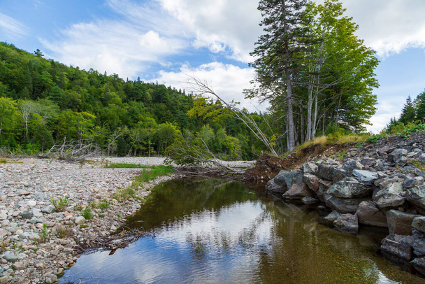 Kirkkaat vedet Acadian metsän virtaus välillä Stoney pankit Kanadan maiseman Nova Scotia - Valokuva, kuva