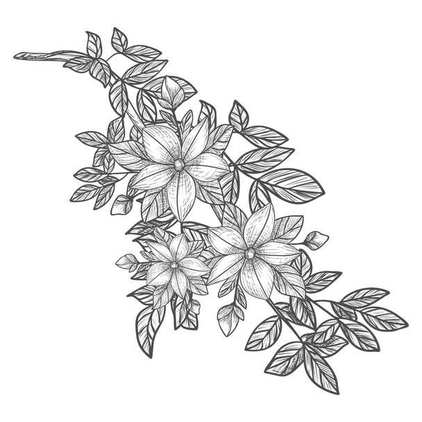 Decorative branches and bouquets. Floral arrangement of flowers and leaves. A bouquet of flowers for the decoration of wedding invitation cards and greeting cards. Black engraving, graphics, line art. Vintage. - ベクター画像