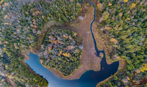 Πανοραμική κηφήνας εναέρια άποψη ένα μικρό δάσος κοντά σε μια λίμνη κατά τη διάρκεια του φθινοπώρου - Φωτογραφία, εικόνα