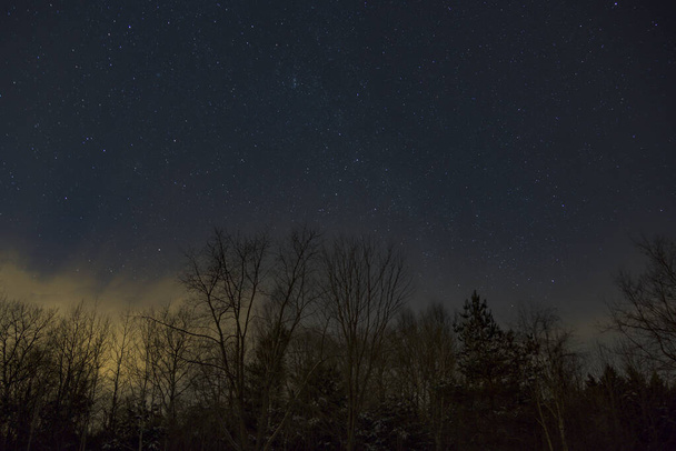 オンタリオ州の森の上の星空 - 写真・画像