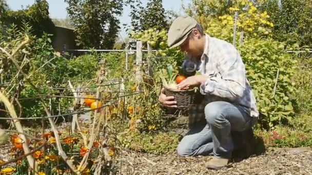 duma ogrodnika - Materiał filmowy, wideo