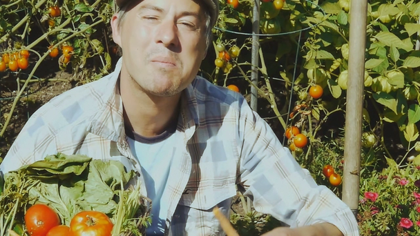 Gardener and Vegetables - Footage, Video