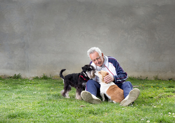 starý muž se psy - Fotografie, Obrázek
