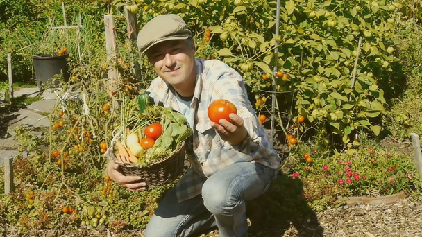 Gardener and gardening - Footage, Video