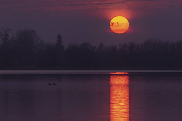 Two ducks paddle across a lake during a vibrant red sunset - Photo, Image