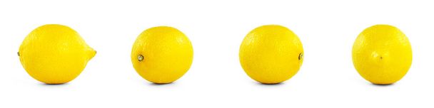 Sitruuna eri puolilta valkoisella pohjalla. Laadukas kuva - Valokuva, kuva