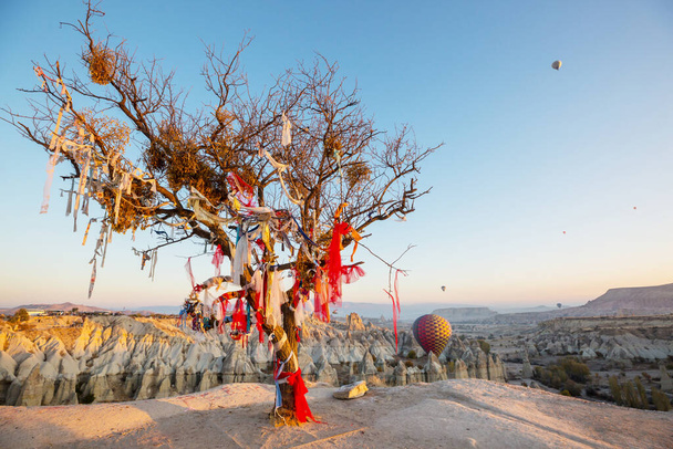 Värikkäitä kuumailmapalloja Goremen kansallispuistossa, Cappadociassa, Turkissa. Kuuluisa matkailukohde. - Valokuva, kuva