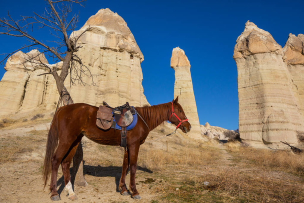 Ongebruikelijke rotsformatie in het beroemde Cappadocië, Turkije - Foto, afbeelding